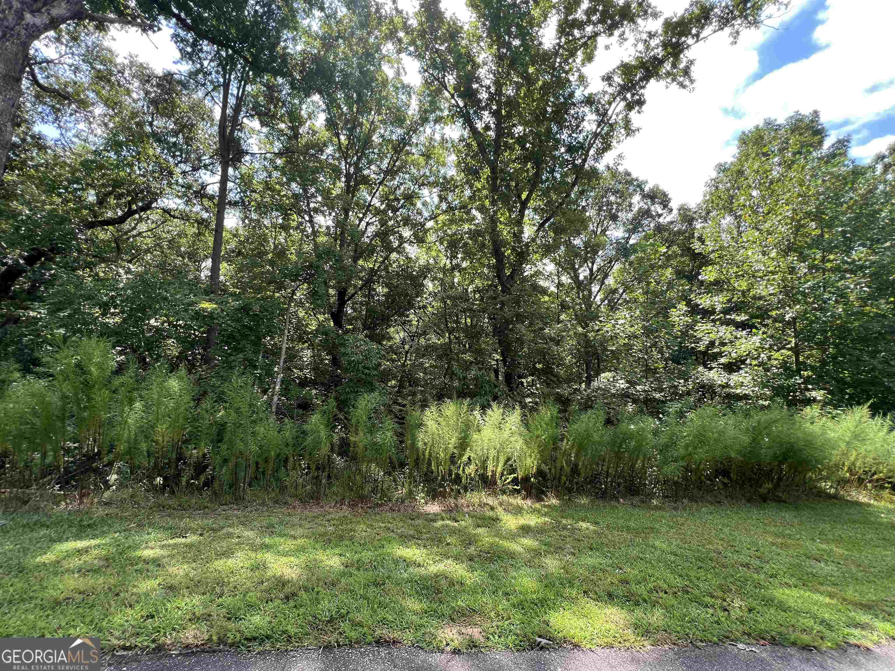 Lot 187 Northshore Drive Cleveland GA 30528