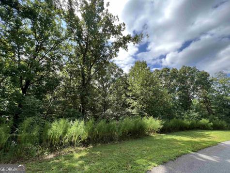 Lot 187 Northshore Drive Cleveland GA 30528