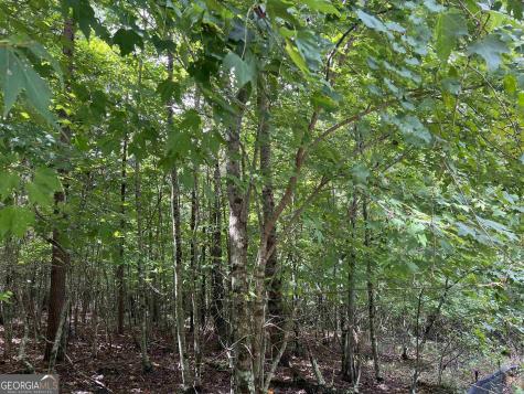 Lot 187 Northshore Drive Cleveland GA 30528