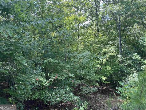 Lot 187 Northshore Drive Cleveland GA 30528