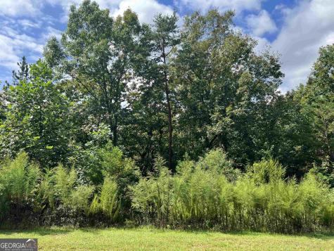 Lot 187 Northshore Drive Cleveland GA 30528