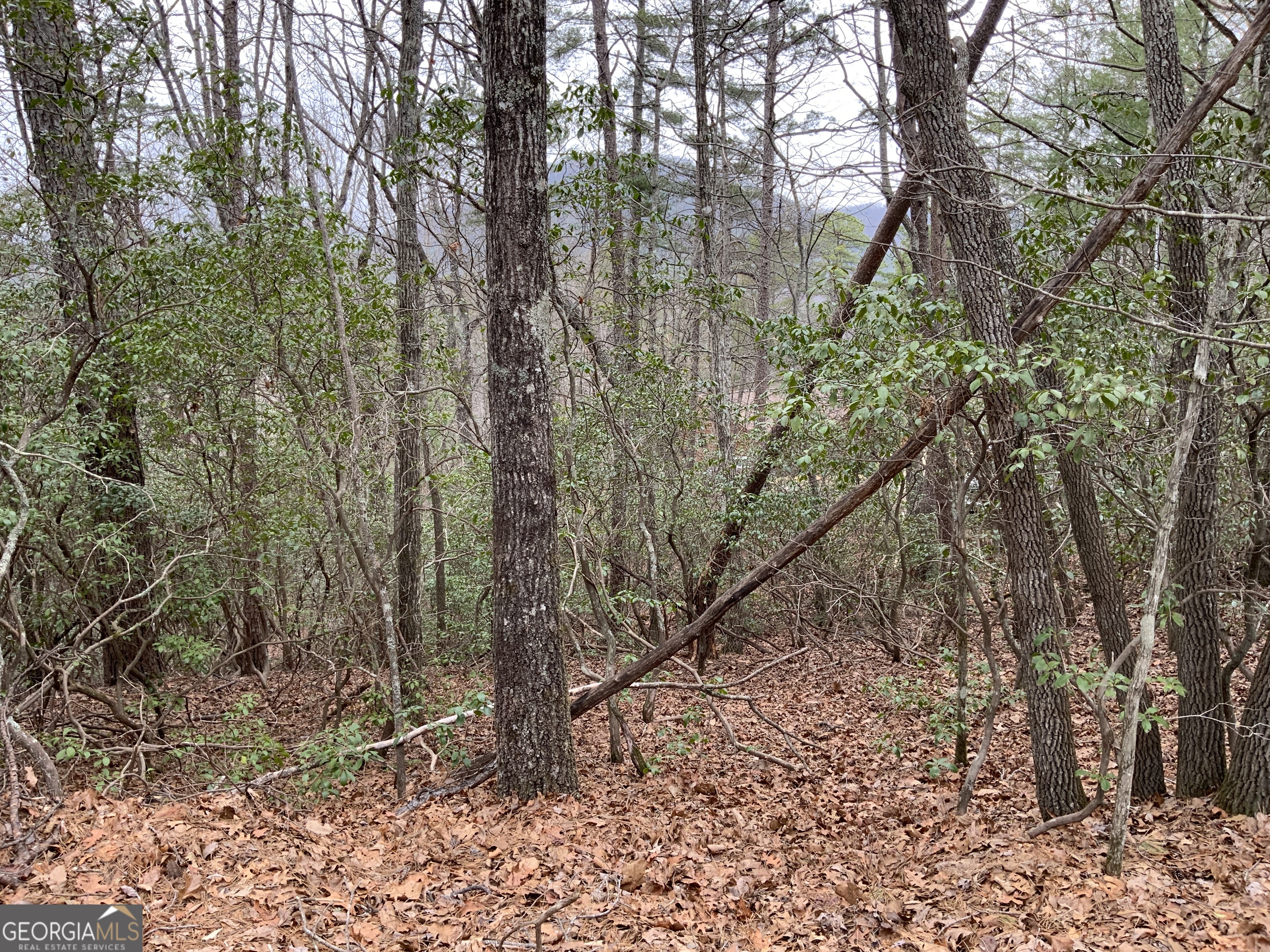0 Prospectors Place Sautee Nacoochee GA 30571
