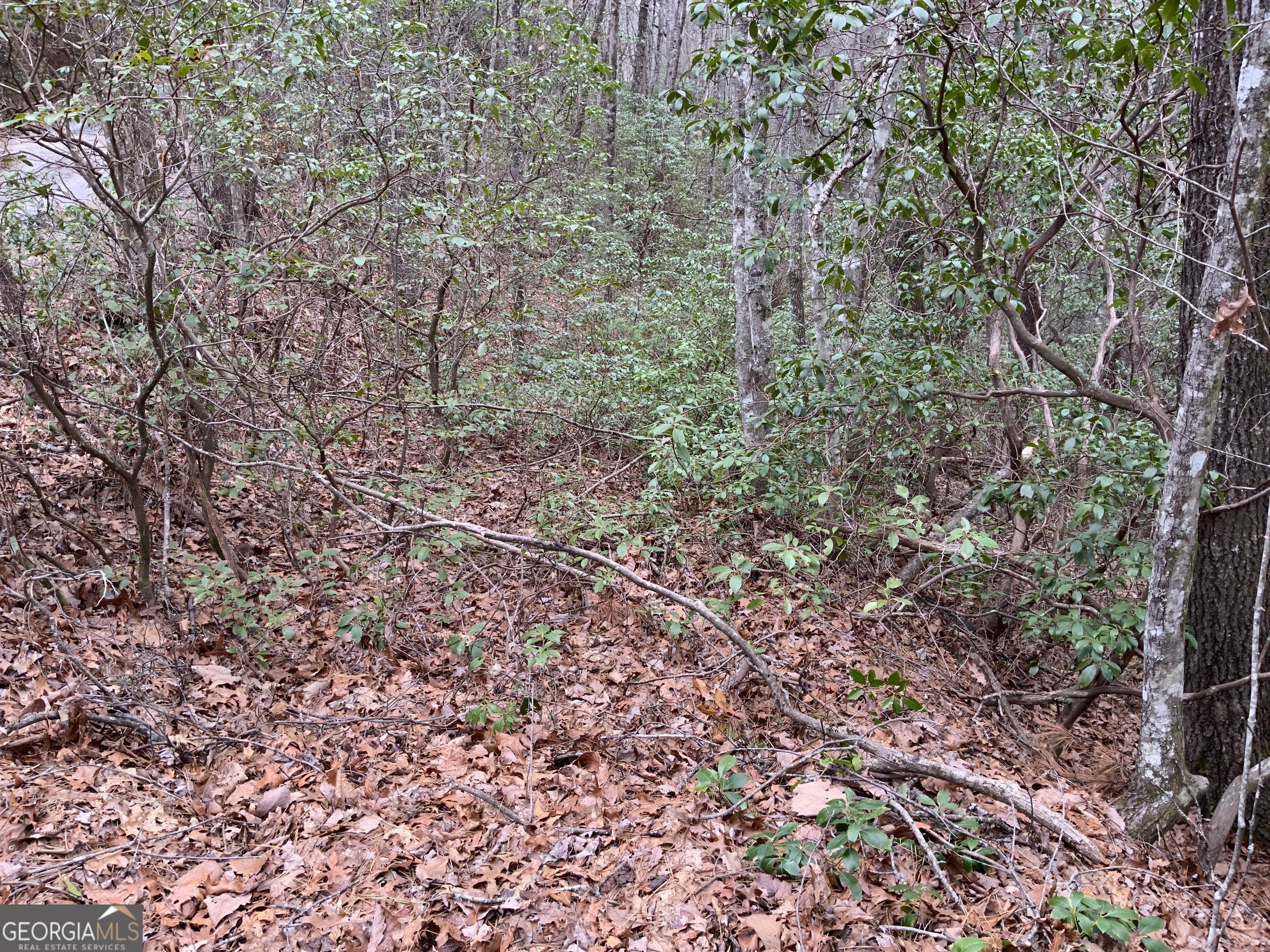 0 Prospectors Place Sautee Nacoochee GA 30571