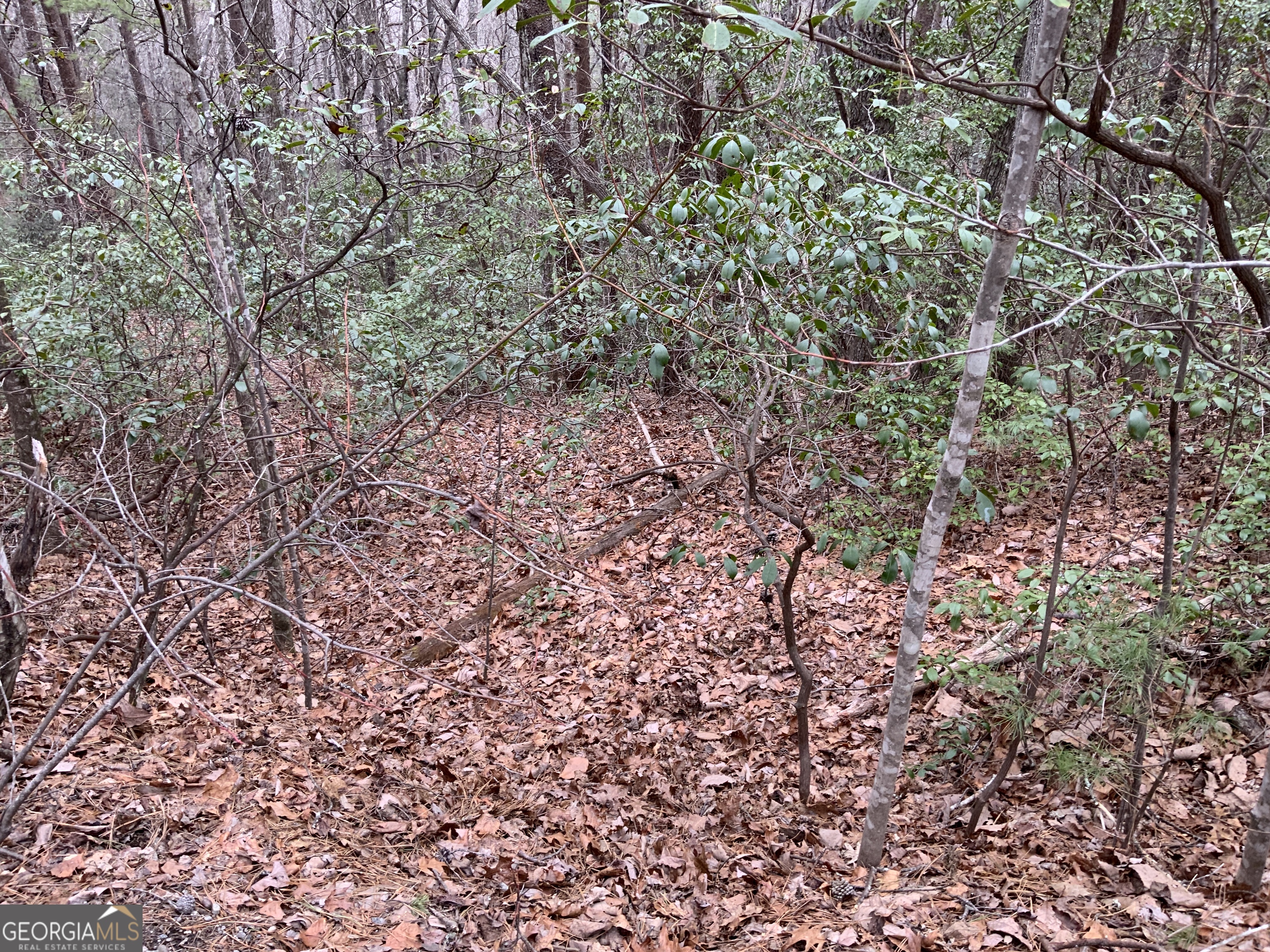 0 Prospectors Place Sautee Nacoochee GA 30571