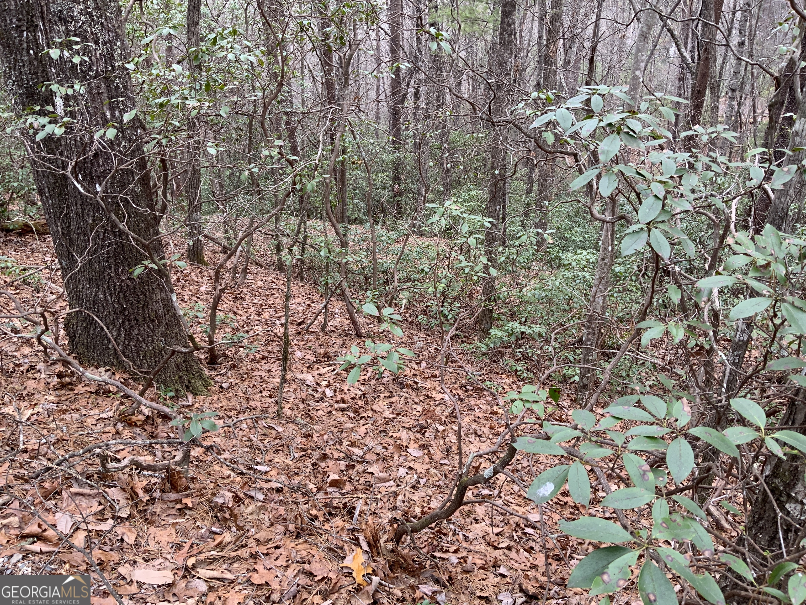 0 Prospectors Place Sautee Nacoochee GA 30571