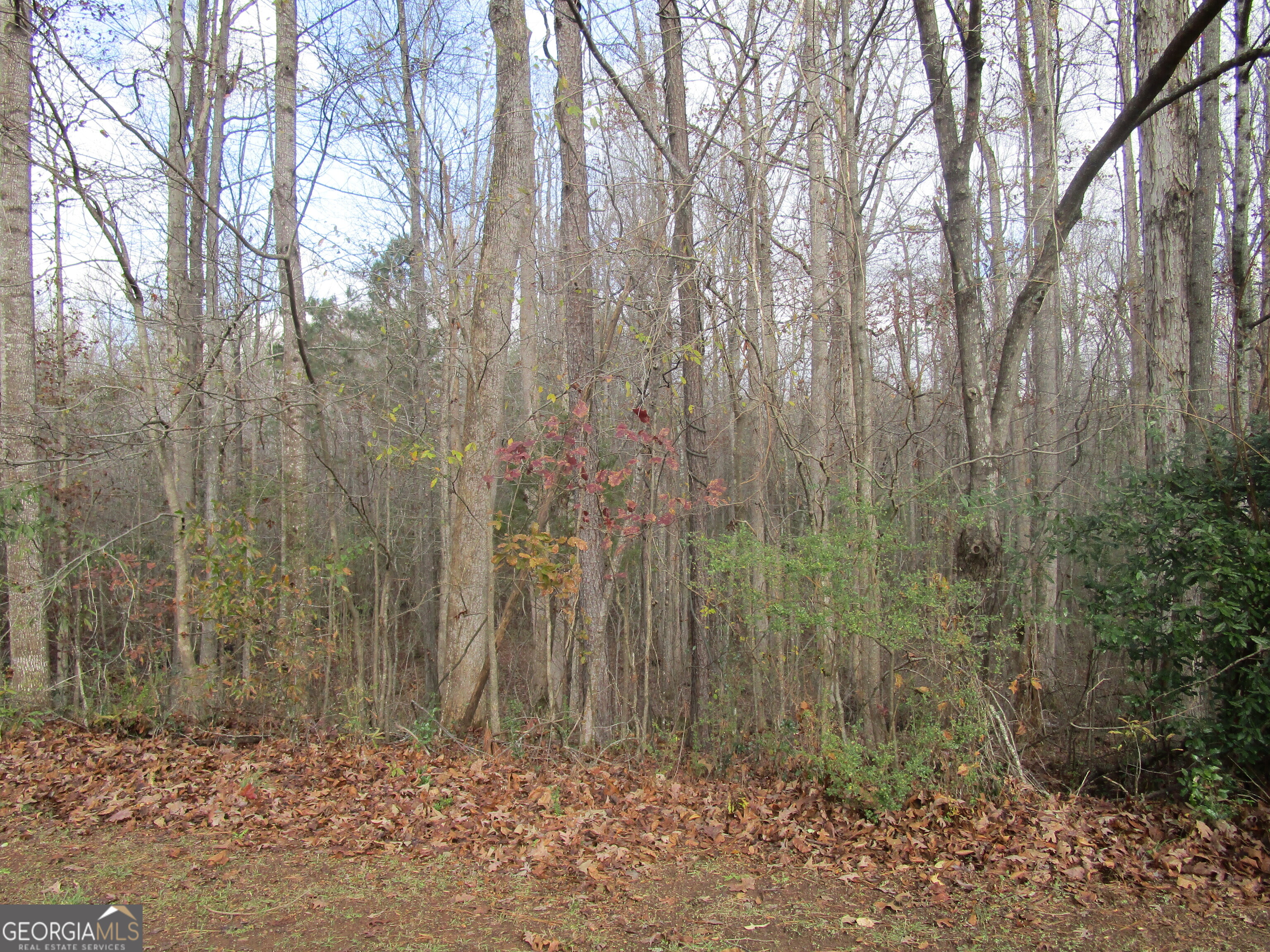 135 Four Oaks Drive Griffin GA 30224