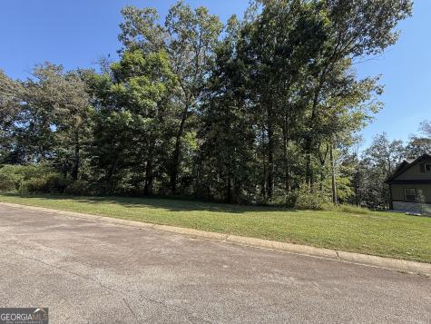 0 Mountain Vista Clarksville GA 30523