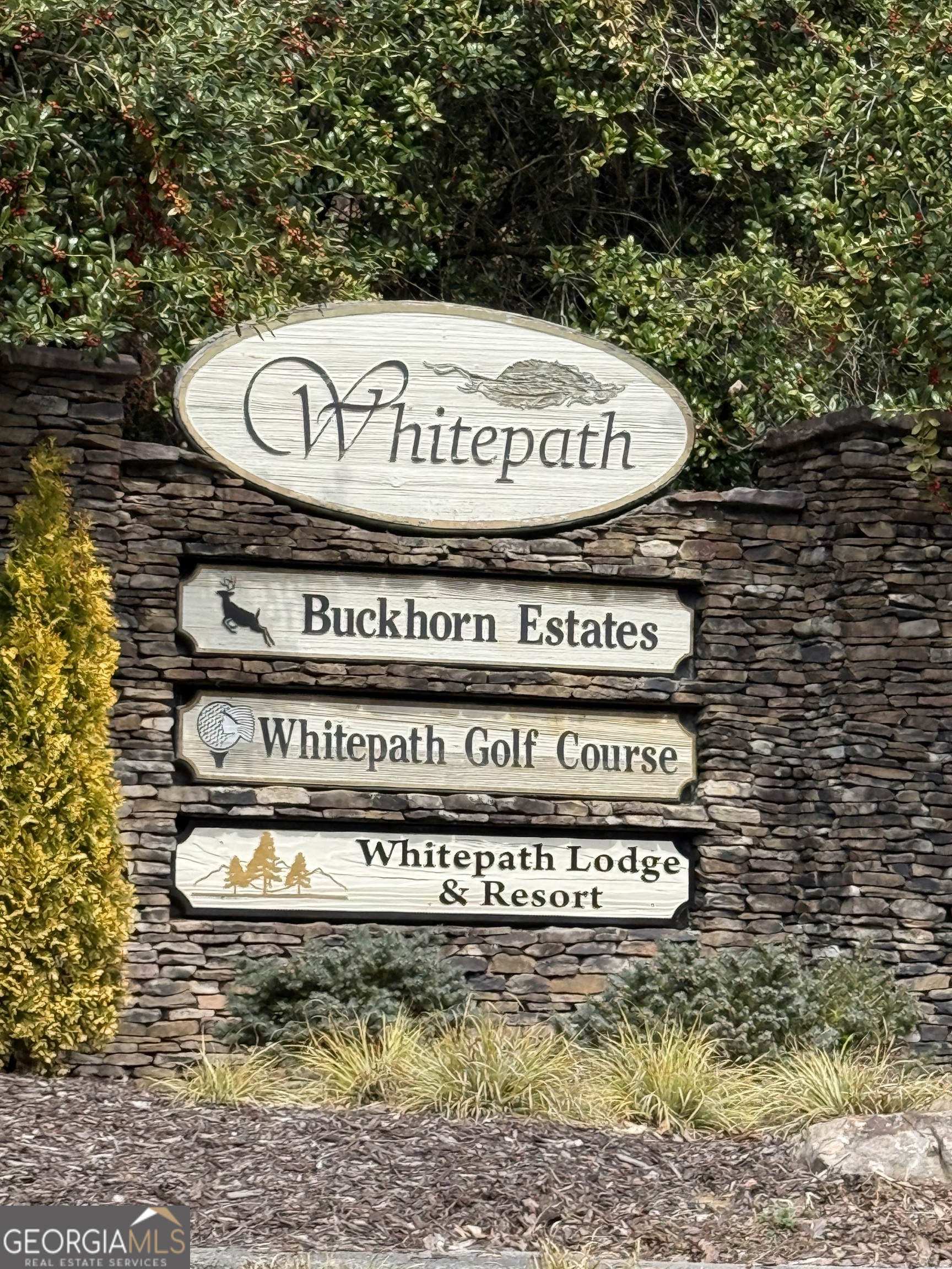 0 Seneca Drive Ellijay GA 30540