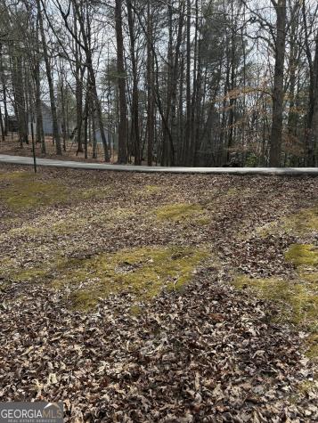 0 Seneca Drive Ellijay GA 30540
