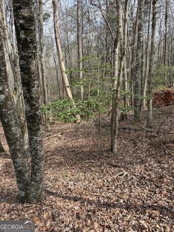 0 Seneca Drive Ellijay GA 30540
