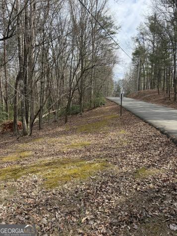 0 Seneca Drive Ellijay GA 30540