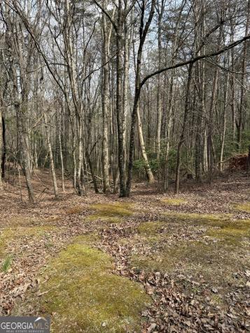 0 Seneca Drive Ellijay GA 30540