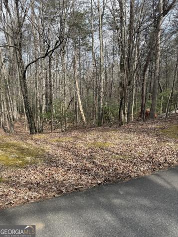0 Seneca Drive Ellijay GA 30540