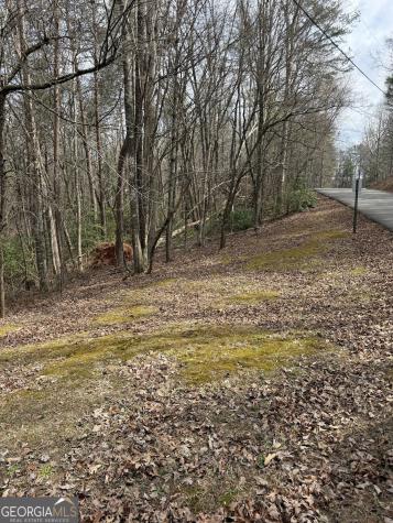 0 Seneca Drive Ellijay GA 30540