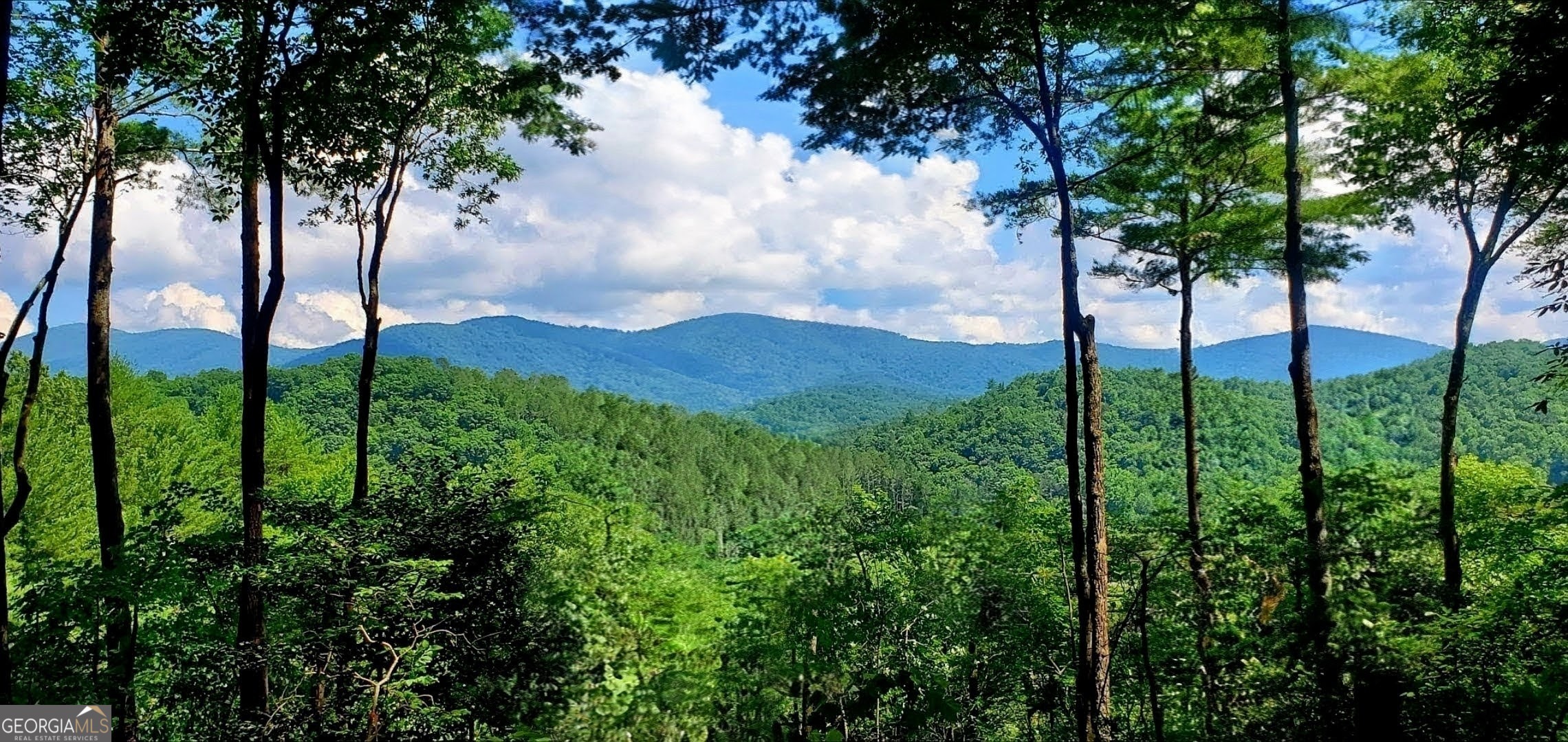 Lot 3 Gold Ridge Trail Cherry Log GA 30522