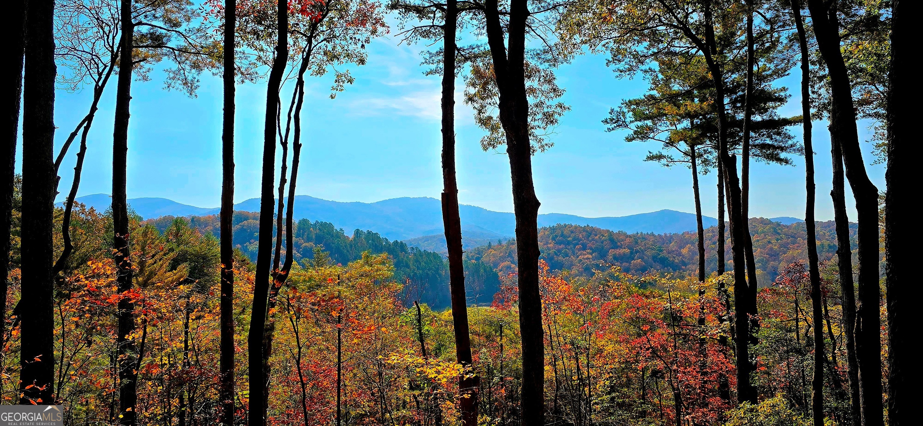 Lot 3 Gold Ridge Trail Cherry Log GA 30522