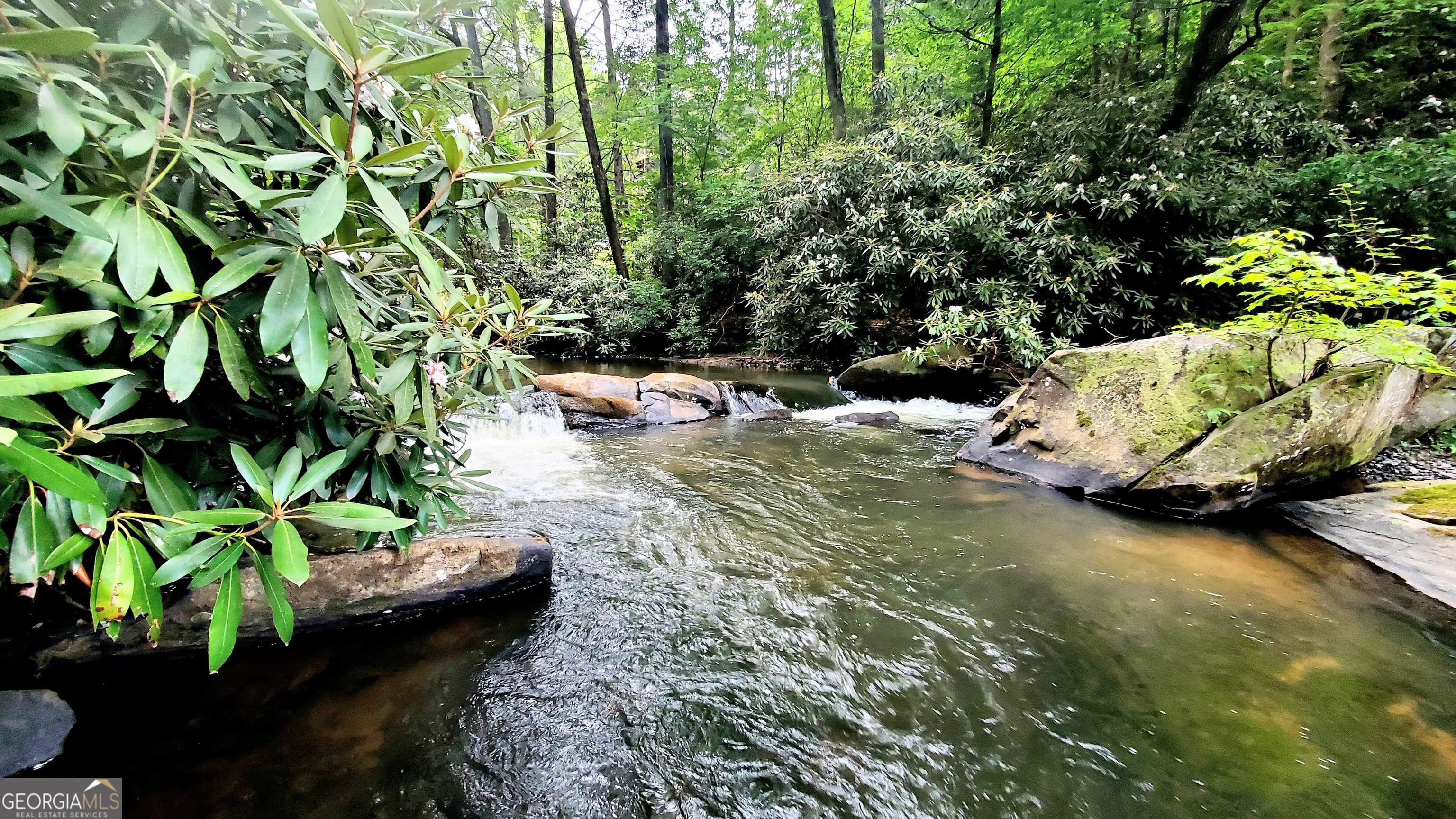Lot 3 Gold Ridge Trail Cherry Log GA 30522