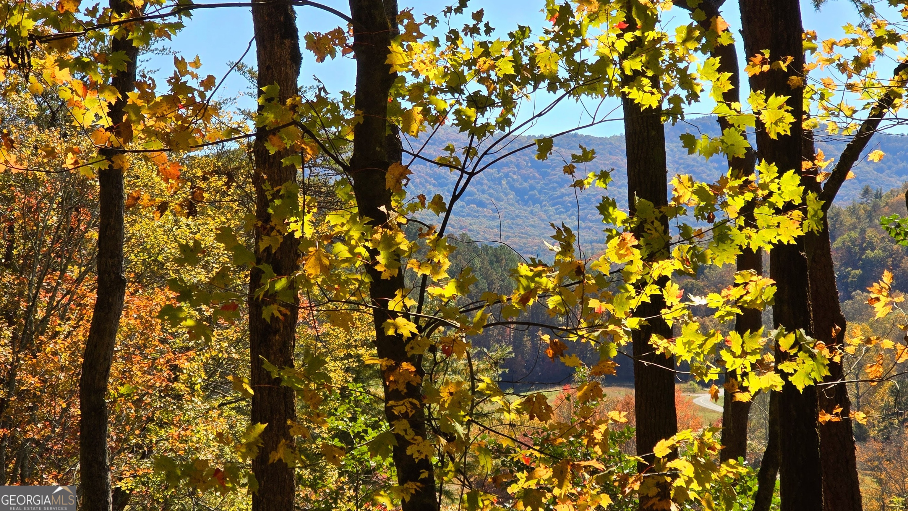 Lot 3 Gold Ridge Trail Cherry Log GA 30522
