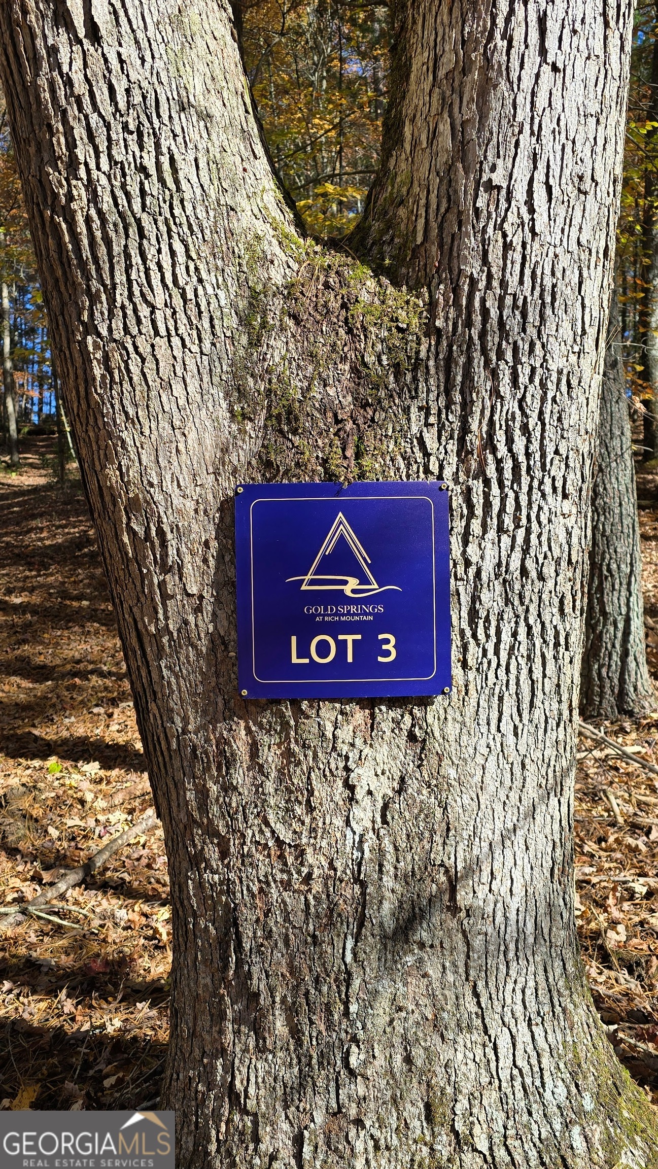 Lot 3 Gold Ridge Trail Cherry Log GA 30522