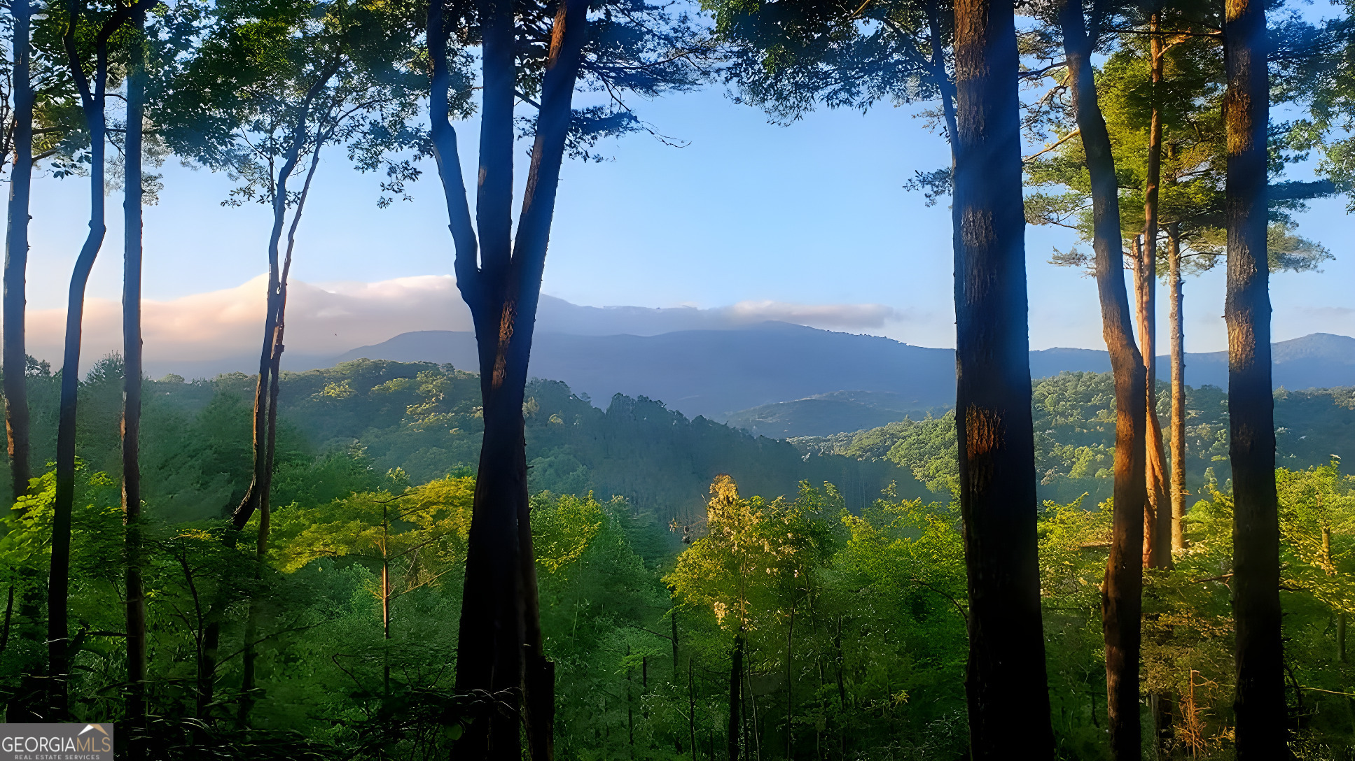 Lot 3 Gold Ridge Trail Cherry Log GA 30522