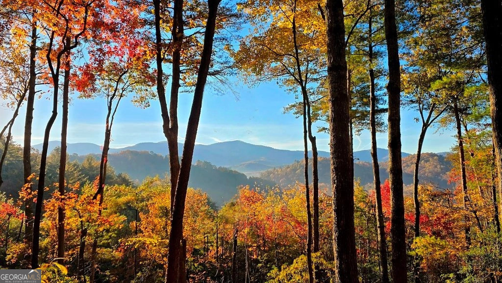 Lot 3 Gold Ridge Trail Cherry Log GA 30522