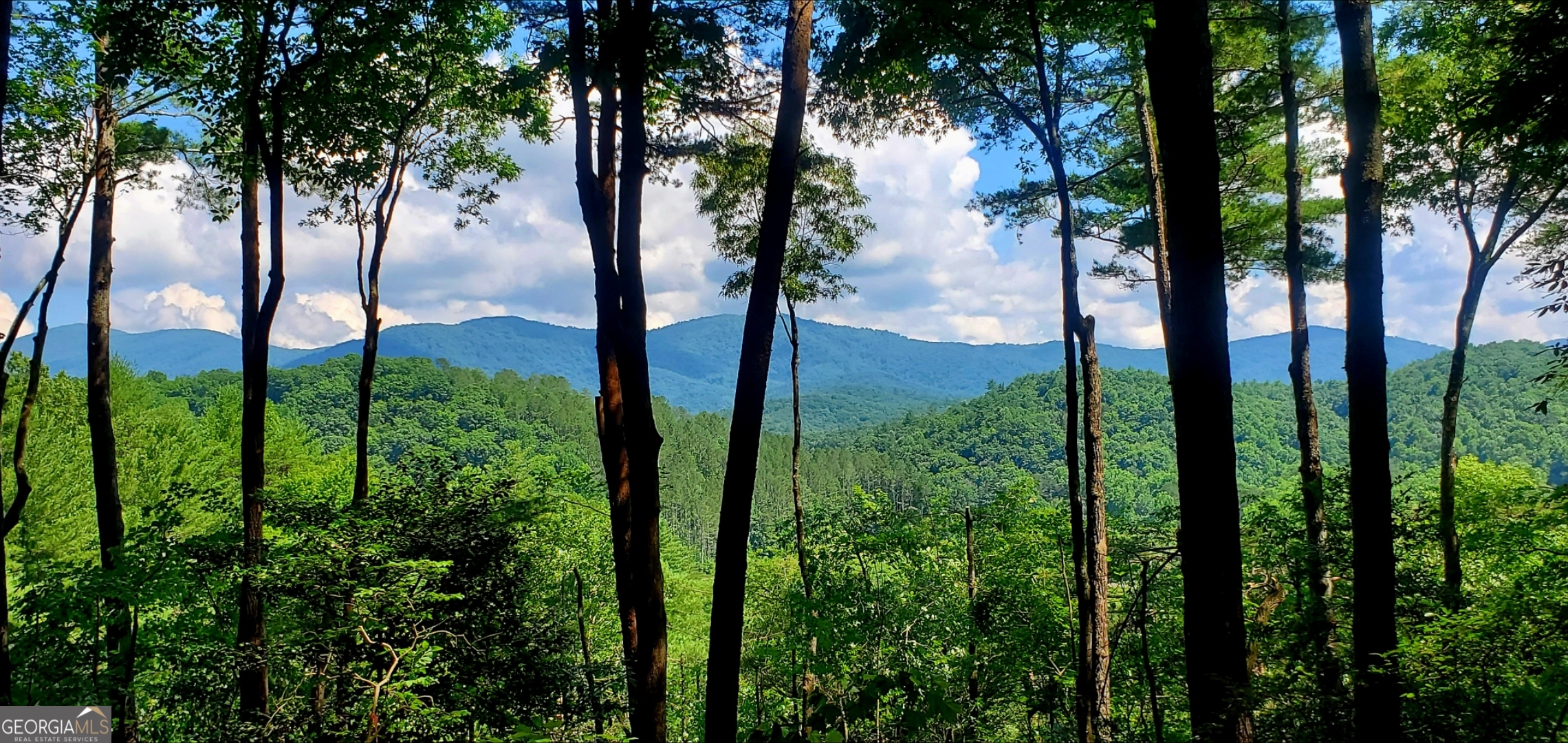 Lot 3 Gold Ridge Trail Cherry Log GA 30522