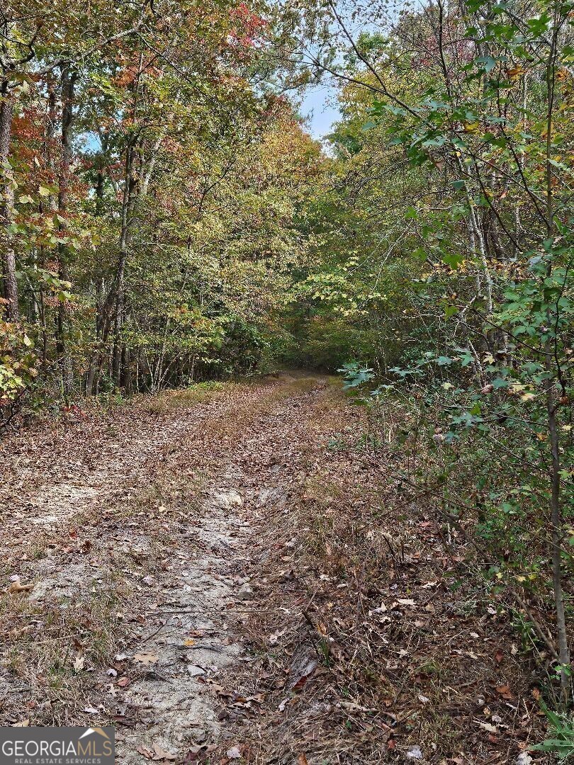 0 Fruit Farm Road Summerville GA 30747
