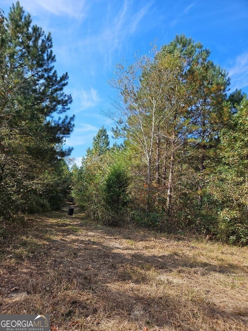 0 Fruit Farm Road Summerville GA 30747