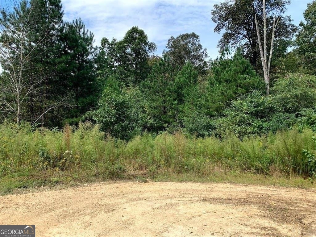 0 Fruit Farm Road Summerville GA 30747