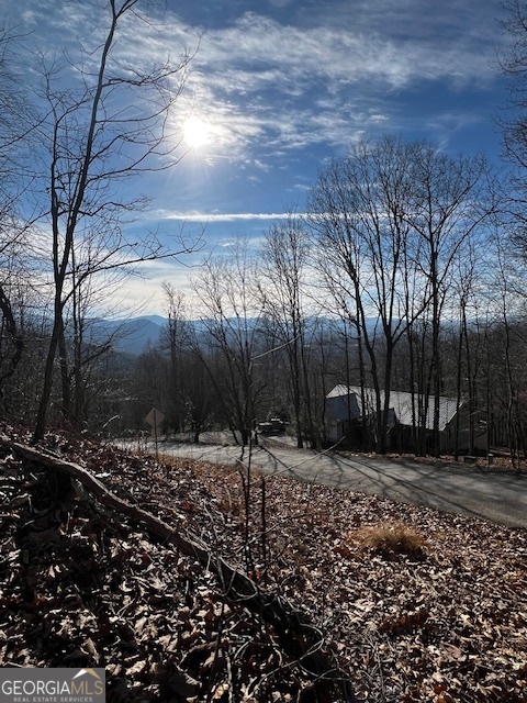 Lot 54 Sunny View Drive Blairsville GA 30512