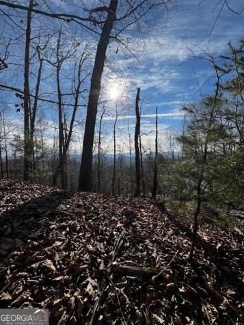 Lot 54 Sunny View Drive Blairsville GA 30512