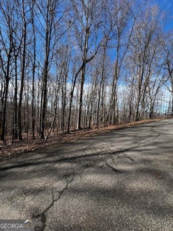 Lot 54 Sunny View Drive Blairsville GA 30512
