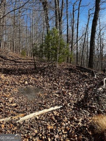 Lot 54 Sunny View Drive Blairsville GA 30512