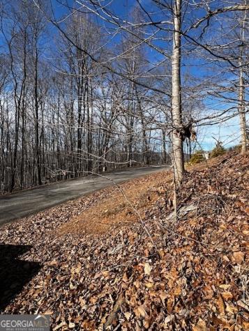 Lot 54 Sunny View Drive Blairsville GA 30512