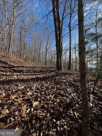 Lot 54 Sunny View Drive Blairsville GA 30512