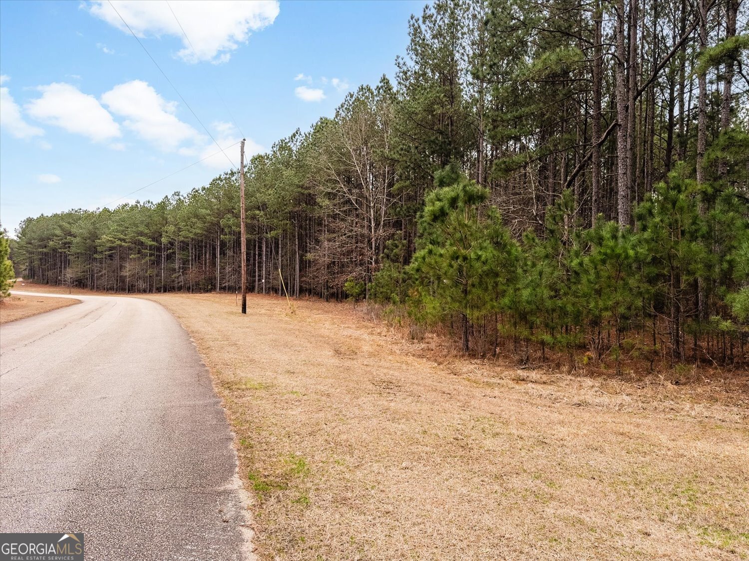 1004 Hesters Ferry Road Tignall GA 30668
