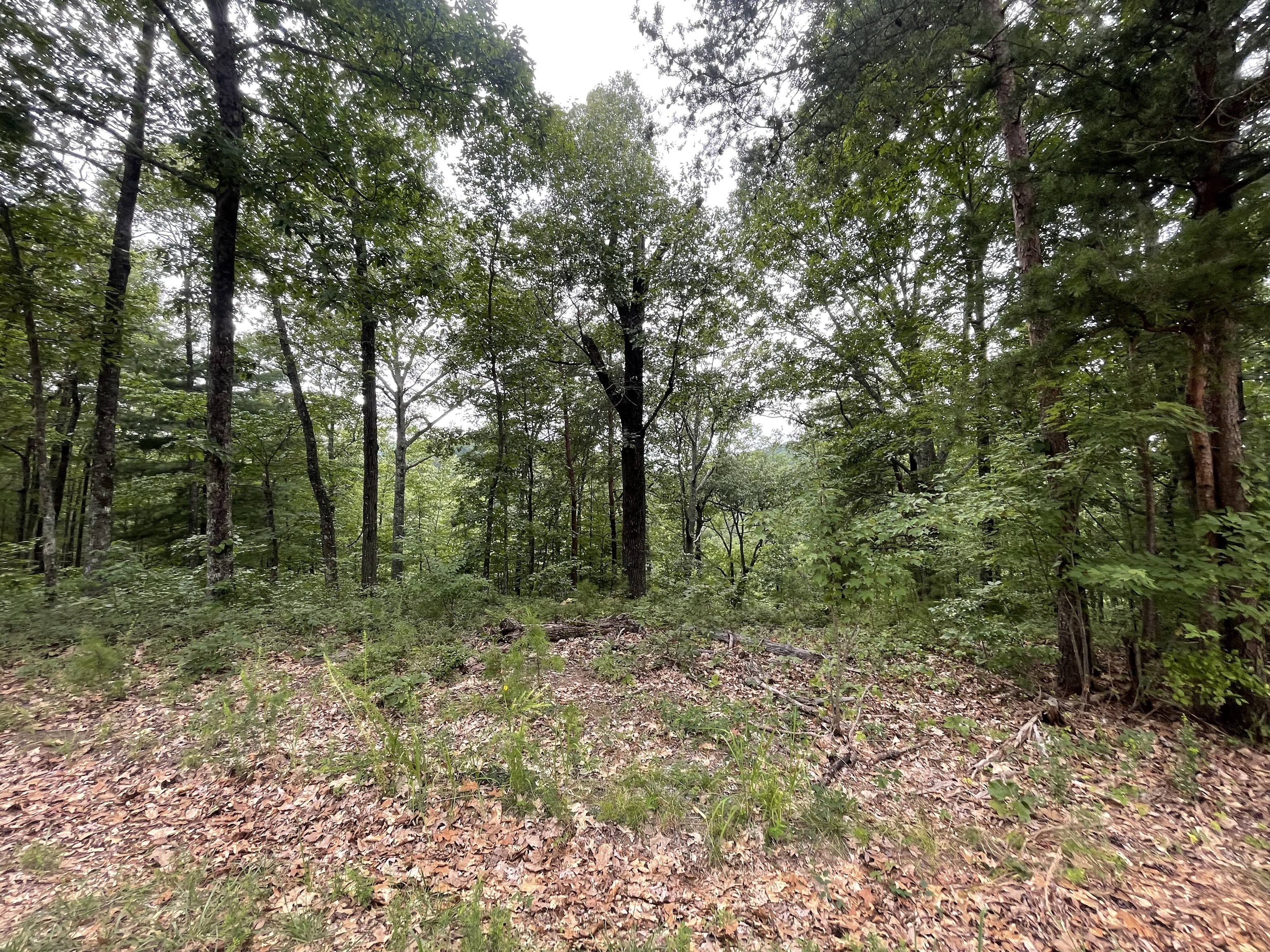 1401 Foxhound Trail NE Ranger GA 30734