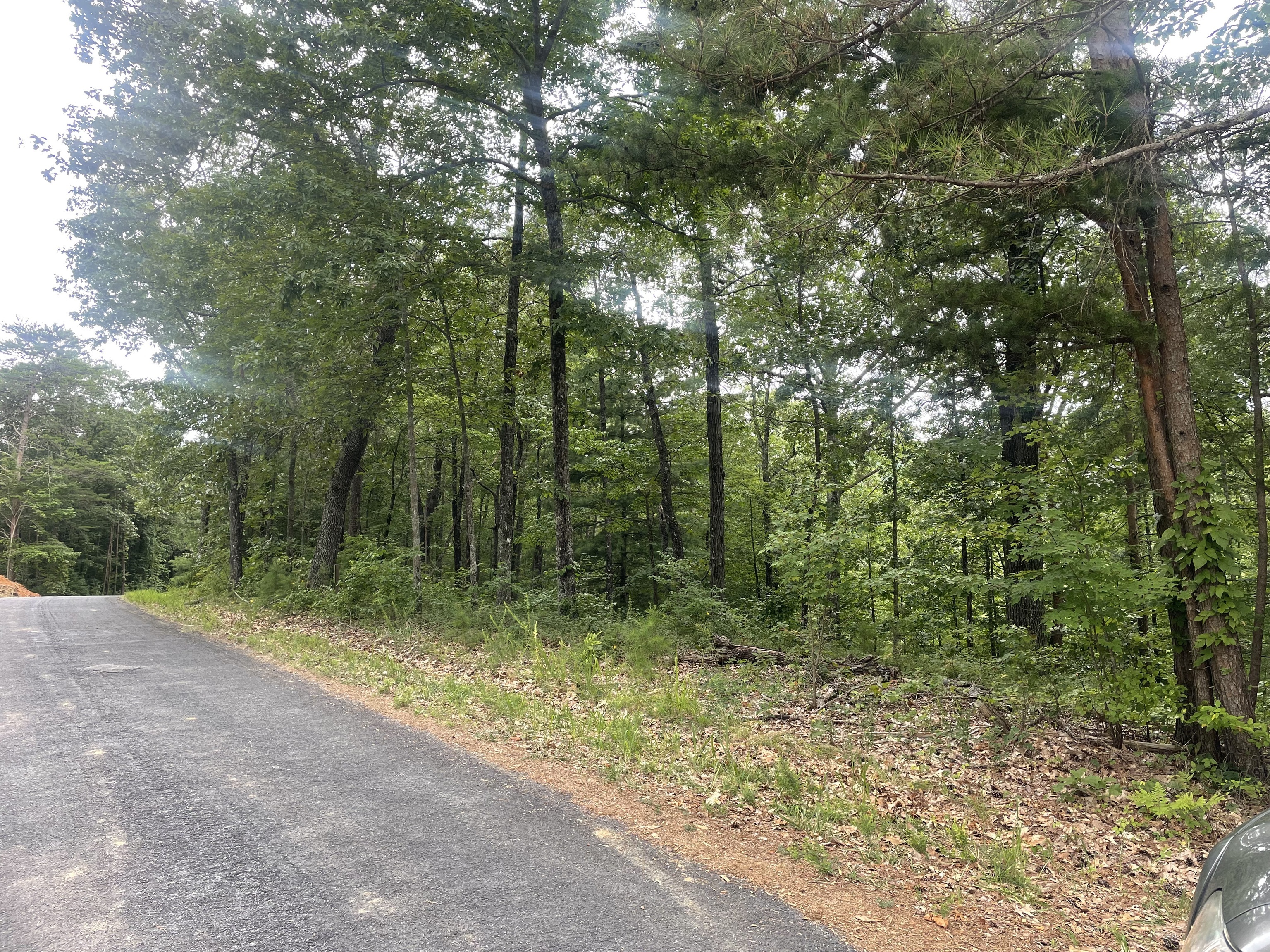 1401 Foxhound Trail NE Ranger GA 30734