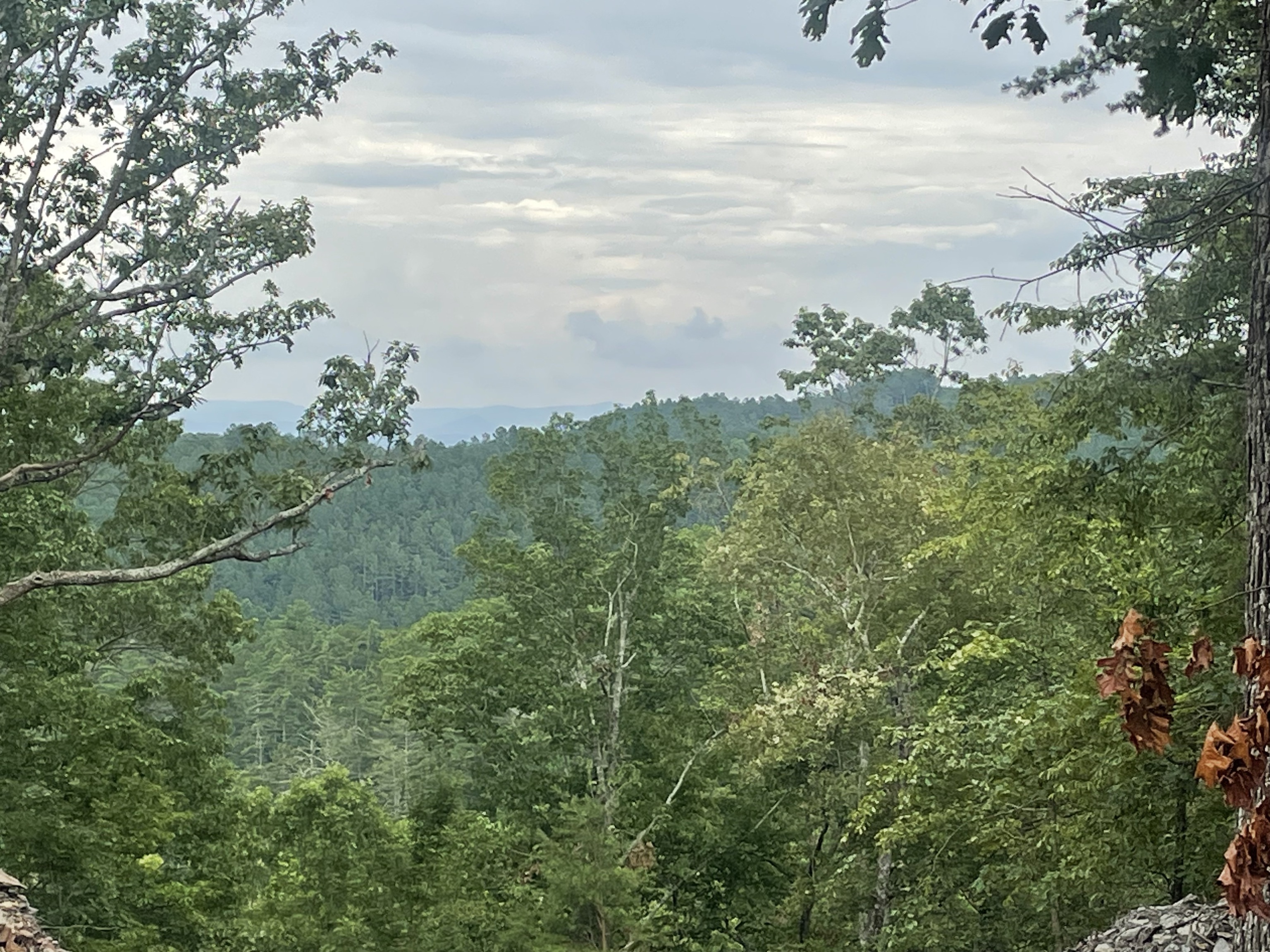 1401 Foxhound Trail NE Ranger GA 30734