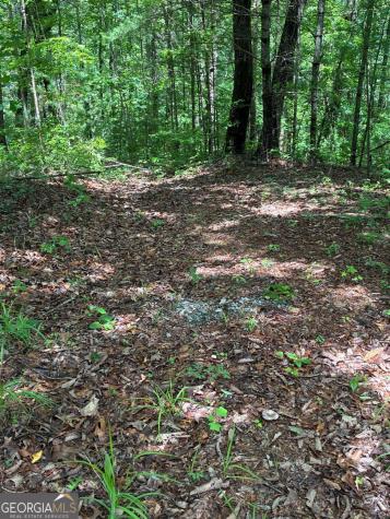L66 67 Lynx Court Ellijay GA 30540