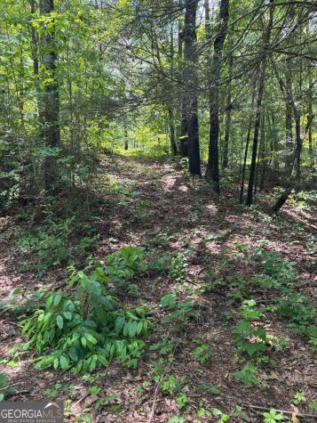 L66 67 Lynx Court Ellijay GA 30540