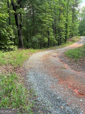 L66 67 Lynx Court Ellijay GA 30540
