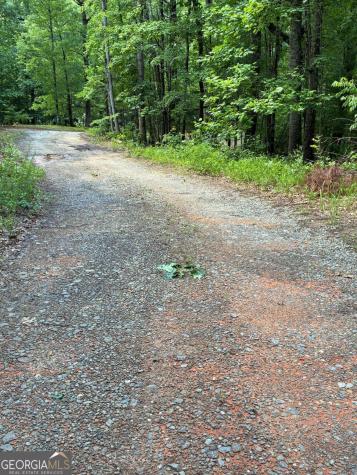 L66 67 Lynx Court Ellijay GA 30540