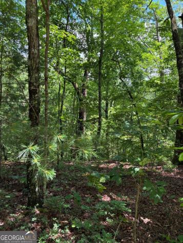 L66 67 Lynx Court Ellijay GA 30540