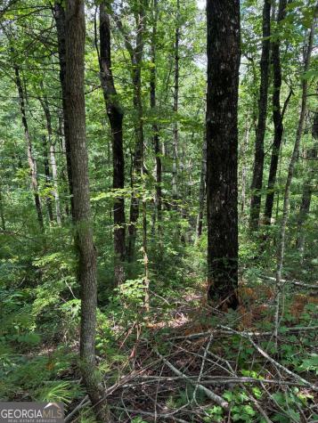 L66 67 Lynx Court Ellijay GA 30540