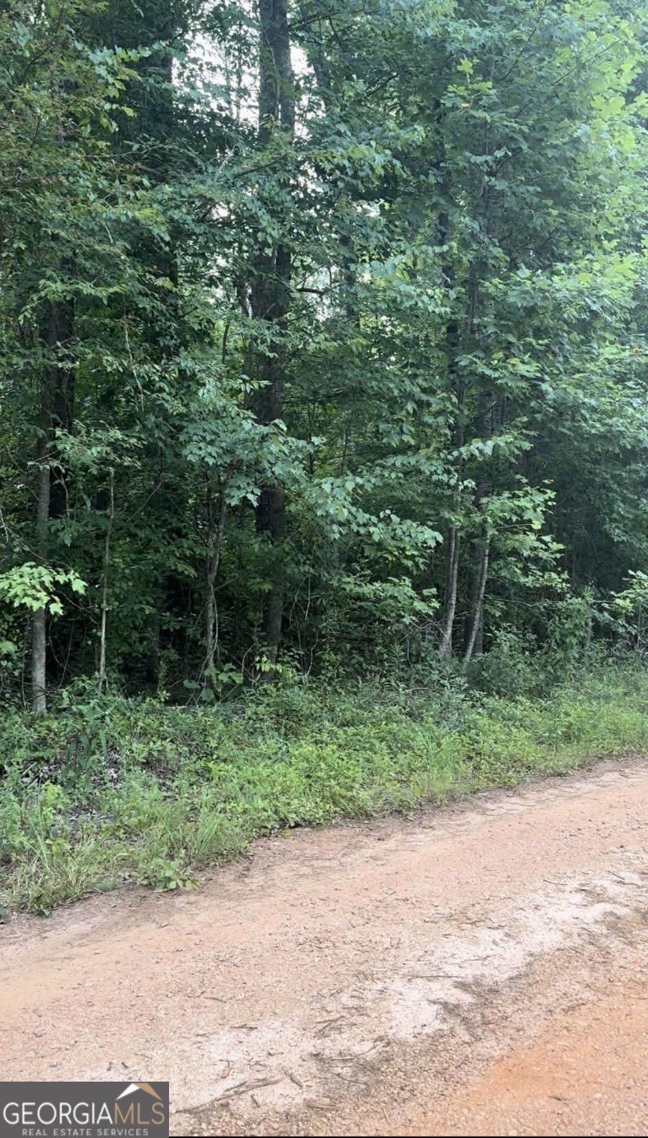 0 Morris Trail Lot 1 Carnesville GA 30521