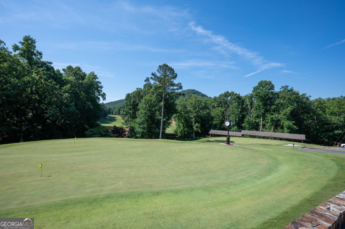 0 Sassafras Court Jasper GA 30143