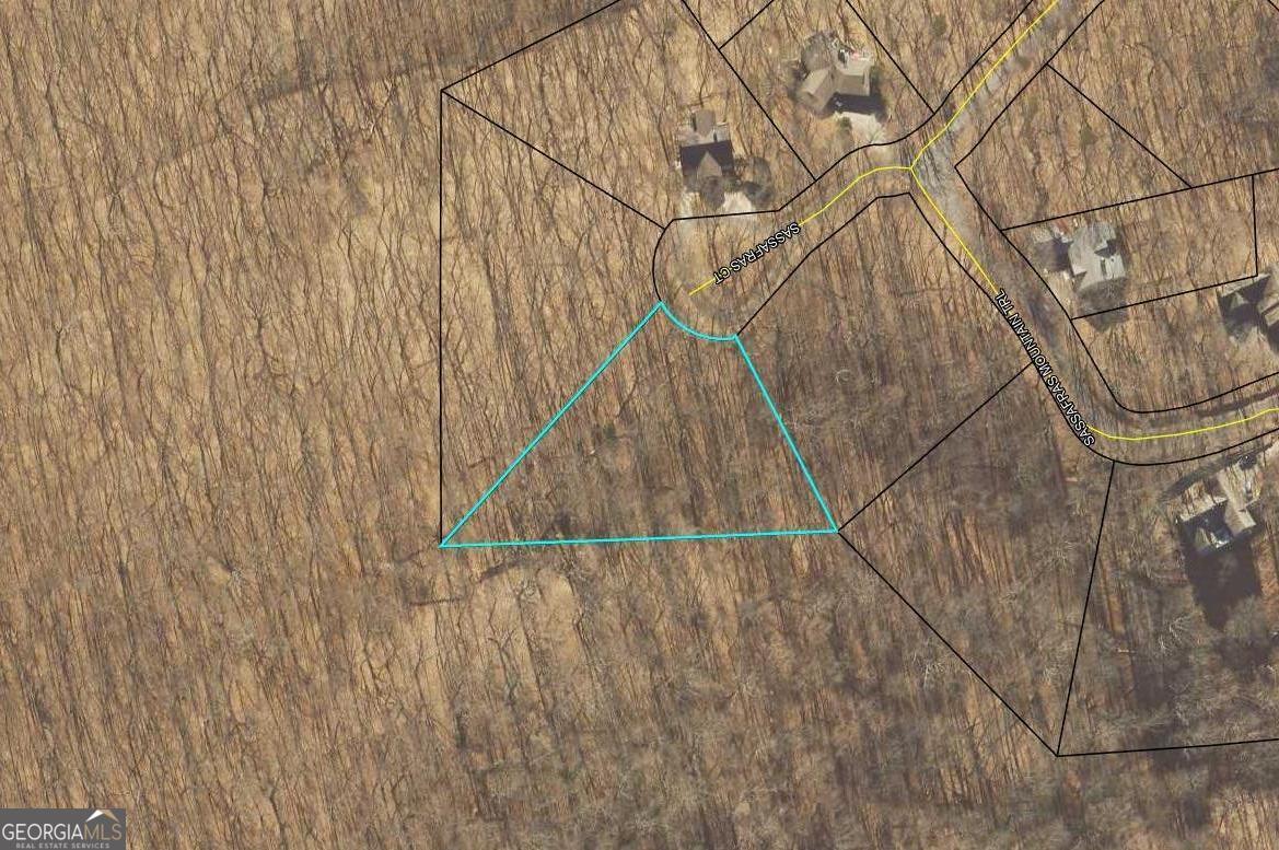 0 Sassafras Court Jasper GA 30143