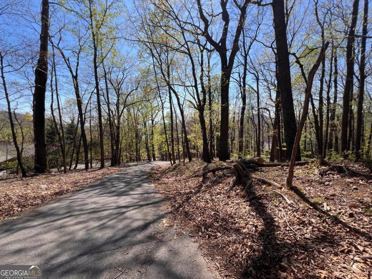 0 Sassafras Court Jasper GA 30143
