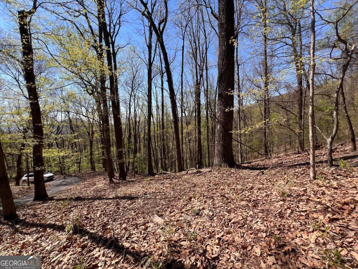 0 Sassafras Court Jasper GA 30143